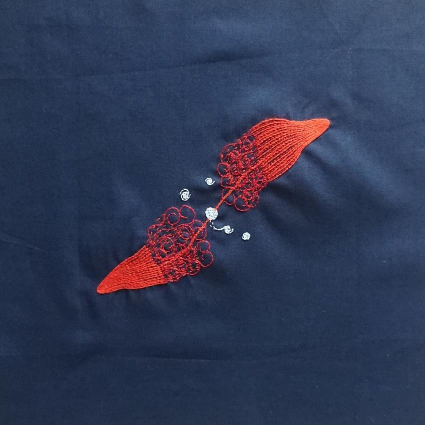 Two galaxies (represented with white stitching) are interacting. This causes black hole activity. Particles are dragged from close to the blackhole along magnetic field lines emitting energy at radio wavelengths (represented with red stitching).