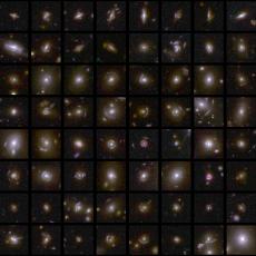 This image shows examples of gravitational lenses that Euclid captured in its first observations of the Deep Field areas.